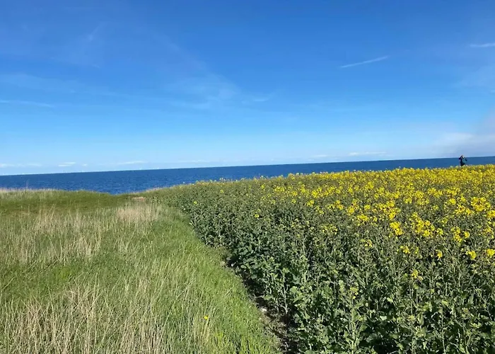 7 Person In Сasa de vacaciones *